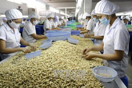Có nên đầu tư vào cổ phiếu ngành dược?