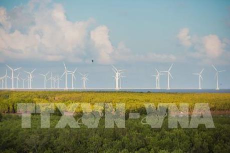 Làm gì để đáp ứng nhu cầu năng lượng tái tạo đang tăng nhanh?