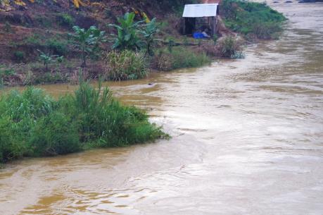 Bình Thuận làm lại 6 cầu giao thông do lũ cuốn trôi