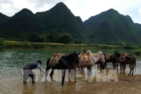Vẻ đẹp mùa thu nơi biên giới Trùng Khánh, Cao Bằng