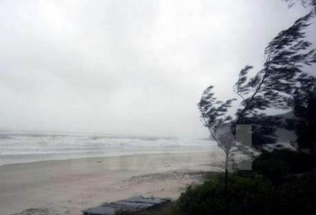 Tin mới nhất về áp thấp nhiệt đới