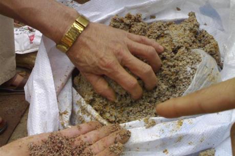 Phó thủ tướng chỉ đạo xử lý hành vi sản xuất phân bón giả, kém chất lượng