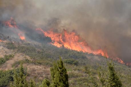 Cháy rừng nghiêm trọng tại bang California