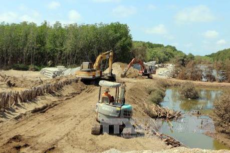 Cần Thơ:  Triều cường dâng cao làm vỡ bờ bao chống lũ