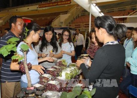 Nhiều sản phẩm hàng hóa Việt Nam đã chinh phục được người tiêu dùng