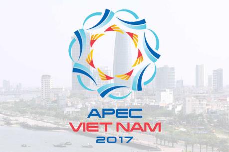 Tuần phim APEC Việt Nam 2017 chính thức khai mạc tại Đà Nẵng