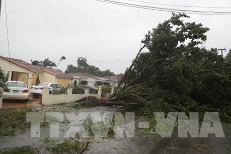 Hạ viện Mỹ thông qua cứu trợ thiên tai bổ sung