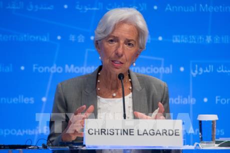 IMF và WB kêu gọi cải cách để đề phòng các cú sốc tương lai