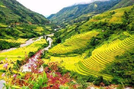 Khai trương tuyến tàu hỏa leo núi dài nhất Việt Nam tại Sa Pa