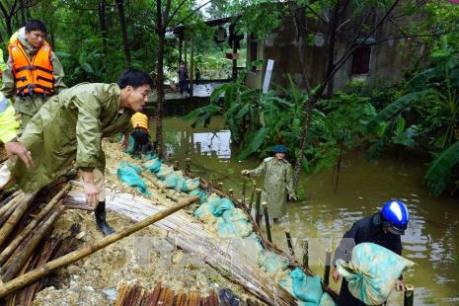 Cứu đê sông Vinh trước nguy cơ bị vỡ do mưa lũ