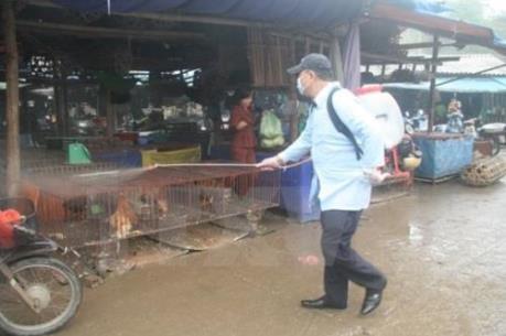 Phát động tháng vệ sinh, tiêu độc khử trùng trên toàn quốc