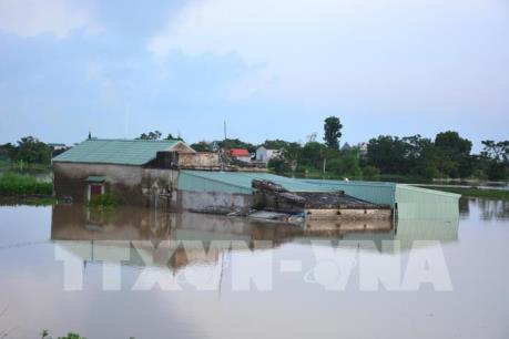 Phòng chống lũ quét và sạt lở đất để phát triển bền vững