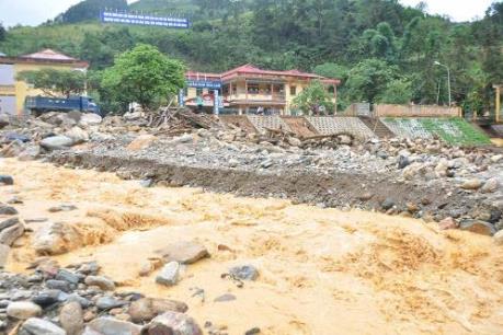 Nhật Bản cứu trợ khẩn cấp các địa phương bị lũ lụt tại Việt Nam