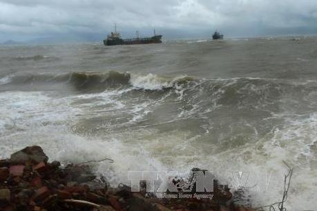 Cập nhật tin mới nhất về bão số 11