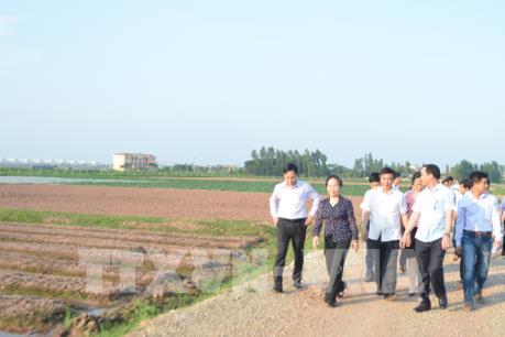 Thí điểm cơ chế tích tụ đất đai: Làm sao để để hấp dẫn các nhà đầu tư?