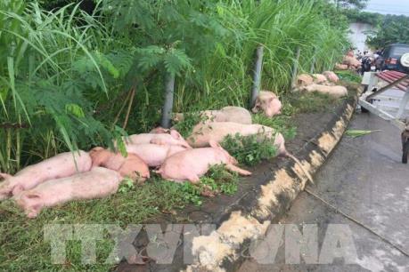 Bộ trưởng Tài nguyên và Môi trường kiểm tra tình hình mưa lũ tại Thanh Hóa