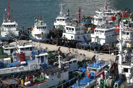 Xuất khẩu hải sản của Hàn Quốc tăng gần 11%