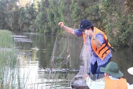 Trải nghiệm Tour tham quan trải nghiệm mùa nước nổi ở Vườn Quốc gia Tràm Chim 