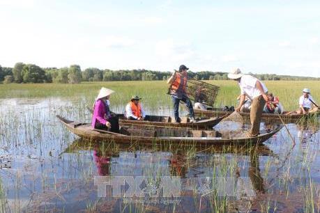 Trải nghiệm thú vị du lịch mùa nước nổi ở Đồng Tháp