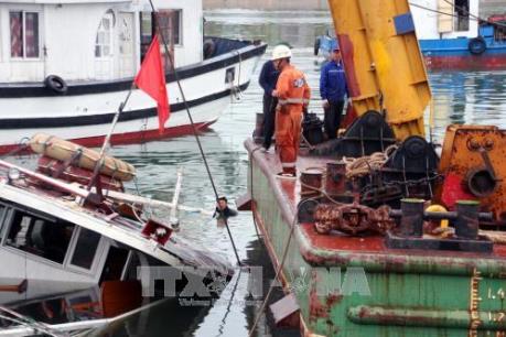 Quảng Ninh: Dừng hoạt động các tàu du lịch không đảm bảo an toàn