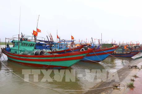 Dự báo thời tiết 24 giờ tới và tin áp thấp nhiệt đới mới nhất