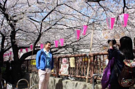 "Xứ hoa anh đào" hốt bạc nhờ du khách nước ngoài mạnh tay chi tiêu