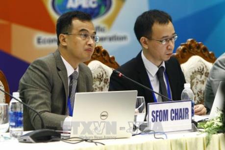 Hội nghị quan chức tài chính cao cấp APEC 2017