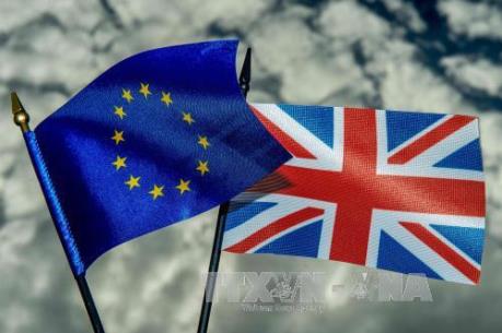 Vấn đề Brexit: Đông Nam Á liệu có thể thay thế EU?