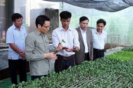 Phó Thủ tướng Vũ Đức Đam khảo sát mô hình sản xuất rau an toàn tại Hưng Yên