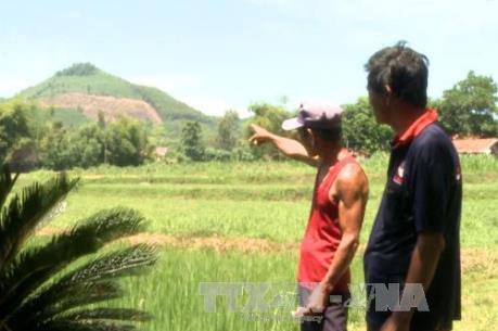 Quảng Ngãi phản hồi tin của TTXVN về sai phạm trong thu thuế đất nông nghiệp