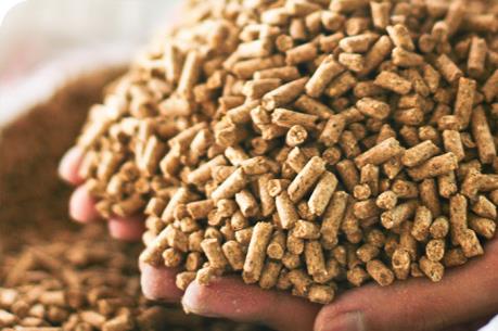 Bán thức ăn chăn nuôi giả, 3 chủ đại lý bị phạt 150 triệu đồng