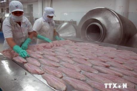 Sản xuất nông nghiệp hướng đến quy mô lớn