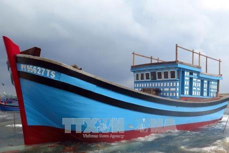 Lần đầu tiên Phú Yên tự đóng tàu cá vỏ gỗ công suất 650 CV