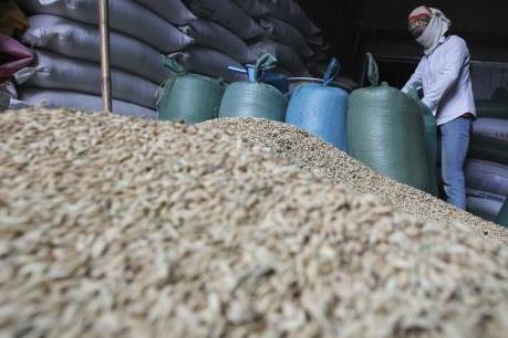 Chính phủ Hàn Quốc thu mua 370.000 tấn gạo