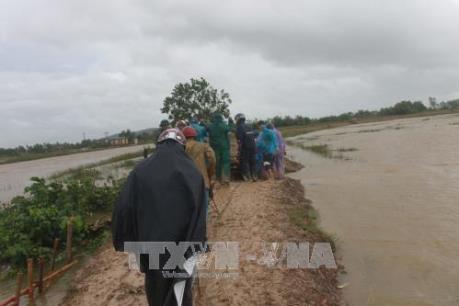 Người dân loay hoay vực lại sản xuất sau khi lũ đi qua