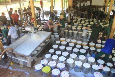 Thị trường cao su thiên nhiên khó phục hồi