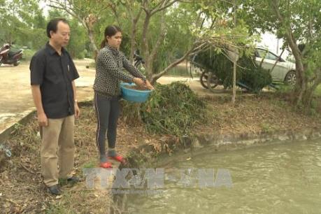 Quảng Ngãi điều tra nguyên nhân cá chết hàng loạt