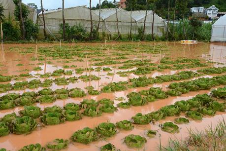 Mưa lớn gây ngập úng cục bộ nhiều tuyến đường ở Bảo Lộc, Lâm Đồng