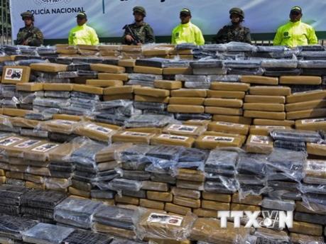 Colombia và Brazil thu giữ gần 3,5 tấn cocaine