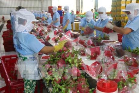 Xuất khẩu rau quả ước đạt 321 triệu USD
