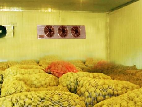 Ứng dụng công nghệ cao để gia tăng giá trị nông sản