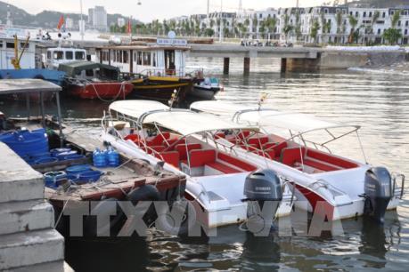 Thêm tàu du lịch bị đình chỉ hoạt động trên vịnh Hạ Long do không đảm bảo an toàn