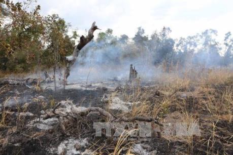 Vụ khai thác gỗ trái phép tại Đắk Lắk: Kiểm điểm trách nhiệm cá nhân, tập thể liên quan 