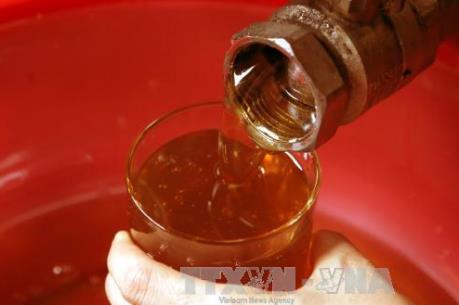 Mật ong Việt Nam xuất khẩu vào thị trường EU còn thấp