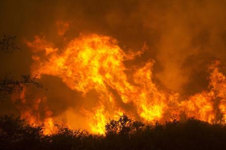 Quảng Ninh: Cháy lớn trên núi Bài Thơ
