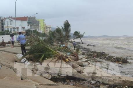 Thủ tướng Chính phủ yêu cầu ứng phó khẩn cấp với áp thấp nhiệt đới và mưa lũ
