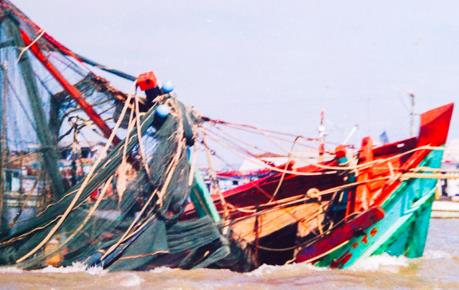 Linda: Bài học "xương máu" về phòng chống bão