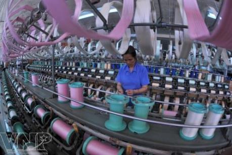 Nghề dâu tằm tơ truyền thống Bảo Lộc đã hồi sinh