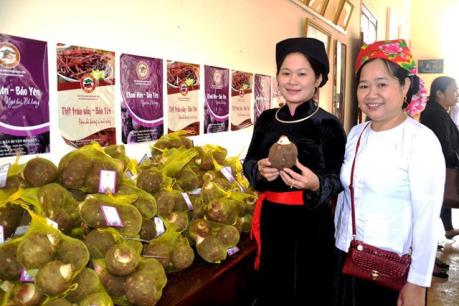 Đưa các sản phẩm nông nghiệp thành sản phẩm du lịch ở Lào Cai