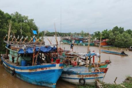 Nghiêm cấm tàu thuyền ra khơi khi bão số 12 mạnh lên